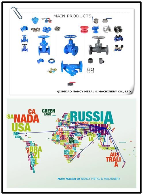 Cast Iron Various Kinds of Valve Flange End
