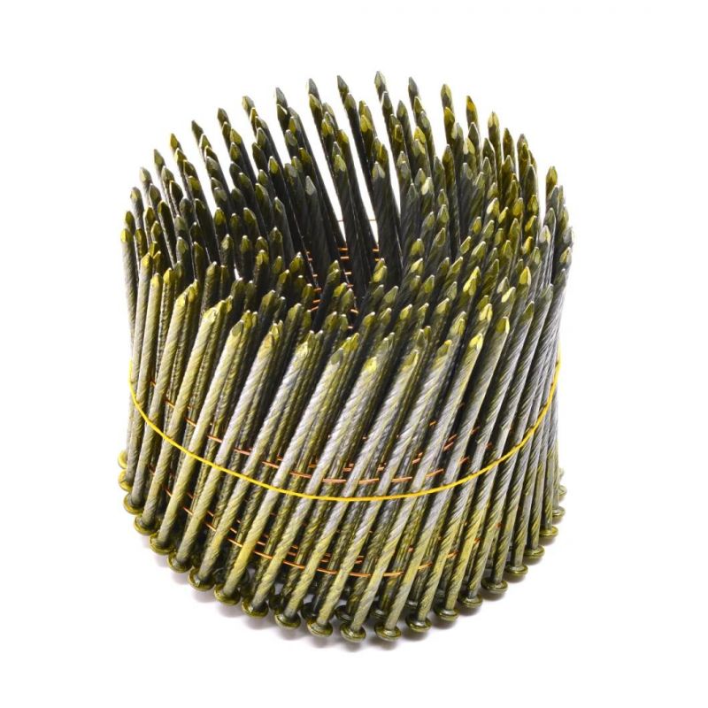 Stainless Steel Common Electro Galvanized Steel Iron Roof Coil Nail Roofing Wire Nails