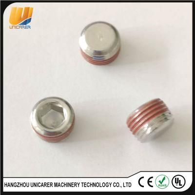 Ss 304 or 316 1/8-27 Nptf Plug for Diff Cover with Liquid Raw Material Belt