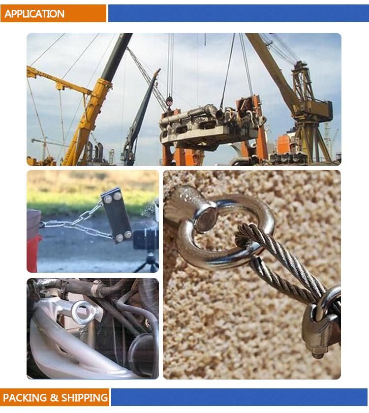 Hardware Rigging Steel Drop Forged DIN580 Lifting Eye Bolt