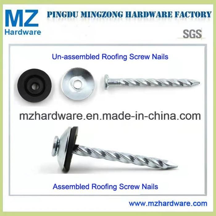 Umbrella Head Nail Galvanized Roofing Nail for Tanzania