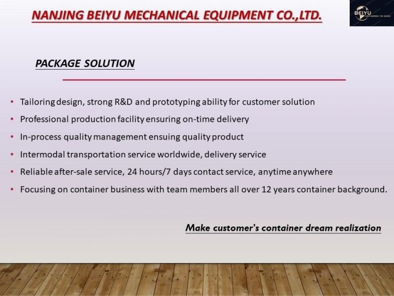 Wheel Nut and Bolt for Overseas Market with Various Design