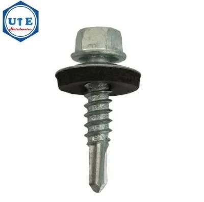 Stainless Steel Screw/Drilling Screw with Tapping Screw Thread Type Hex Washer Head