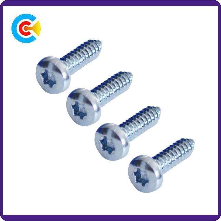 Stainless Steel Torx Pan Head Security Self Fasteners Tapping Screw