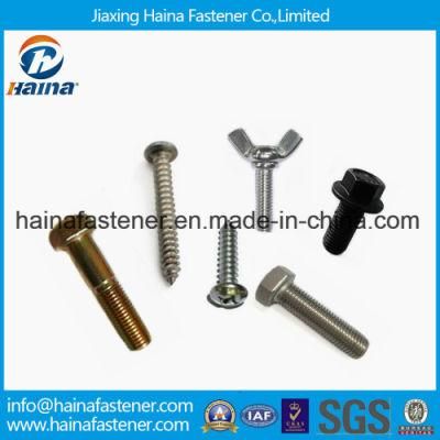 Full Range Quality Standard and Non-Standard Fastener