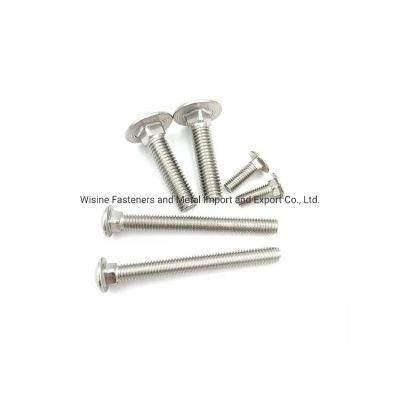 SS304 SS316 Stainless Steel Carriage Bolts