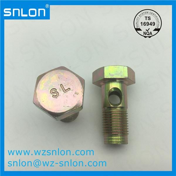 Custom Hex Head Cap Screw with Holes for Auto Parts