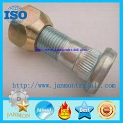 Zinc Plated Bolts, Automotive Wheel Bolts with Nuts, High Tensile Auto Bolt with Nut