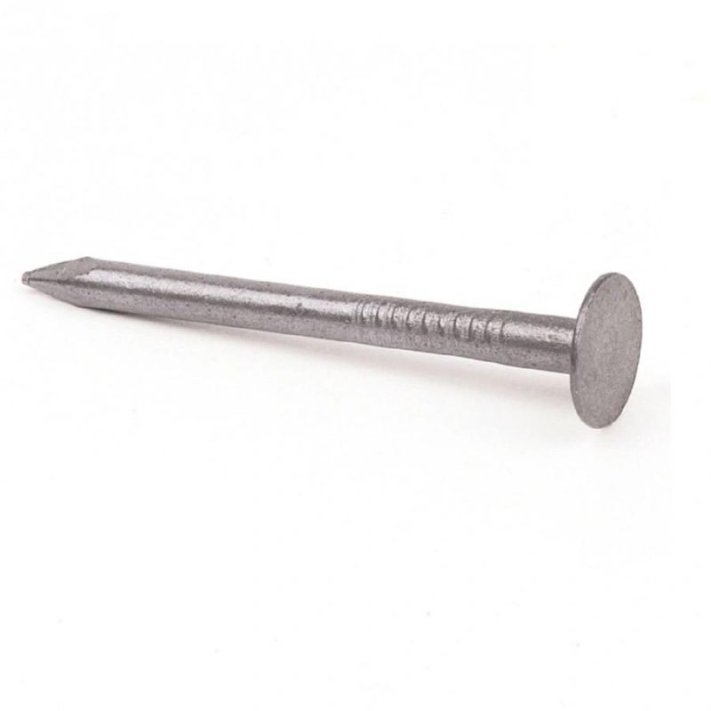 High Quality Harden Electric Galvanized Clout Nail