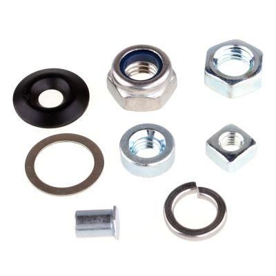 Stainless Steel A2 A4 SS304 SS316 Hex Head Nut M6 M8 M10 Different Types Nuts