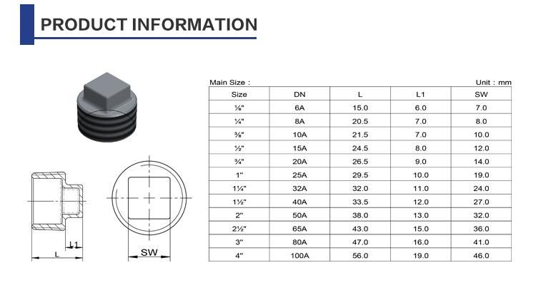 Stainless Steel Male Thread Casting Pipe Fitting Square Plug