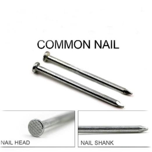 Professional Manufacturer Loose Iron/Steel Nails