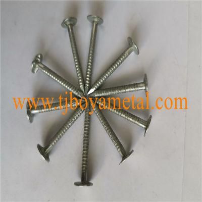 Sharp Point Ring Shank Screw Nail
