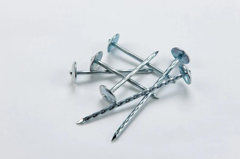 Q195 Material Twisted Shank Roofing Nails Umbrella Roofing Nail From China Manufacturer