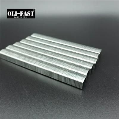20ga Stcr5019/6mm Staples Factory Supply with Premium Quality