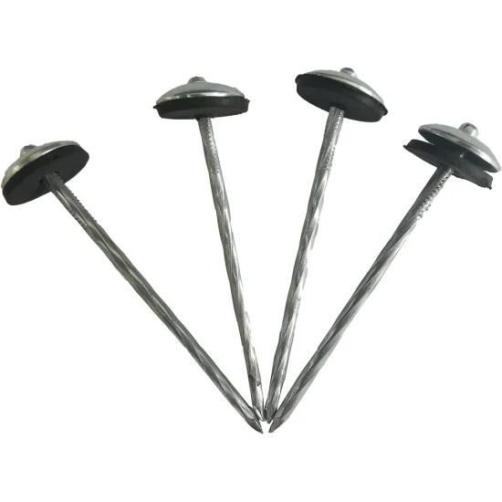 Hot Sale Galvanized Umbrella Roofing Nails Clavo with Rubber Washer in Peru From Tianjin Nail Manufacture