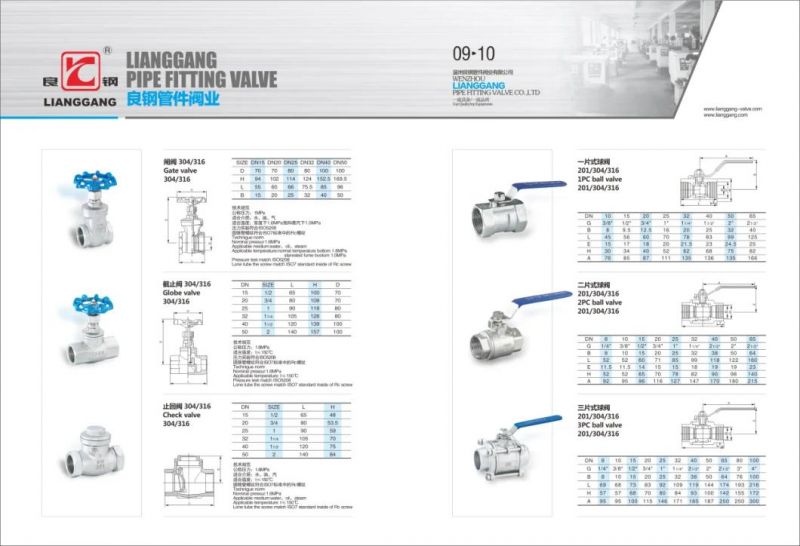 High Quality Standard Industry Stainless Steel Thread Wog Check Valve