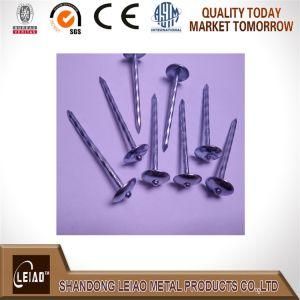 Galvanized Roofing Nail with Umbrella Head Manufacture