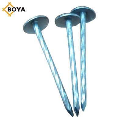 Harden Steel Umbrella Head Roofing Nail with Factory Price