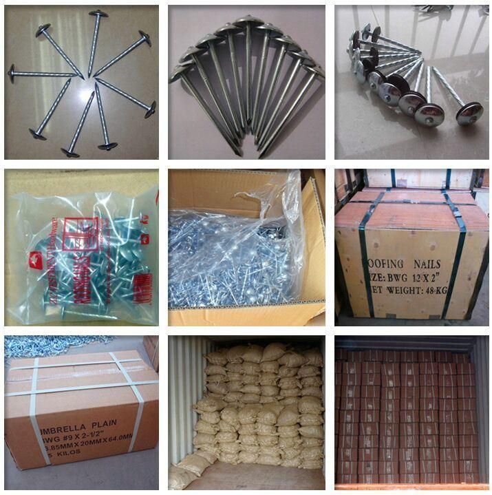 Factory Manufactured Cheap Price 3.125kg/Box X 8boxes/CTN 10bwgx2 1/2" 12bwgx2" Galvanized Roofing Nails with Smooth Shank Umbrella Head for Africa Market