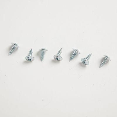 Tianjin China Factory Hot Selling Truss Head Self Tapping Screw
