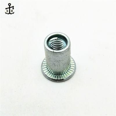 Chinese Manufacturing High Quality Brass Hollow Blind Rivet for Building Made in China