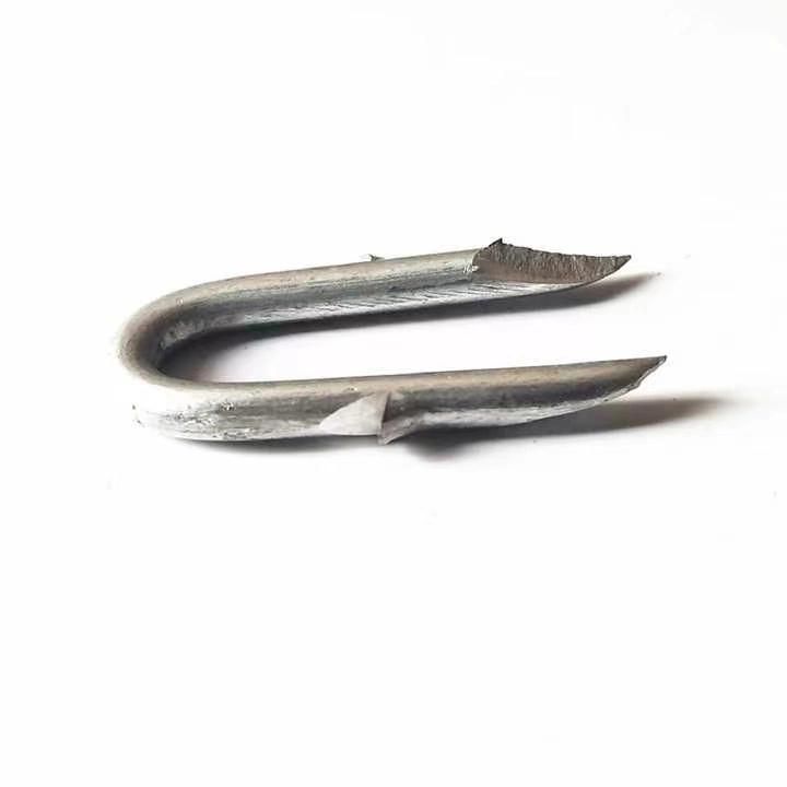 Sharp Point U Nails /Fence Staple/Electrol Galvanized High Quality Lower Price
