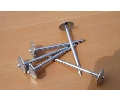 Electro Galvanized Roofing Nail Umbrella Head Zinc Roofing Nail