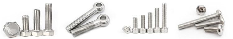 M8 M20 Stainless Steel Hex Bolt and Nut