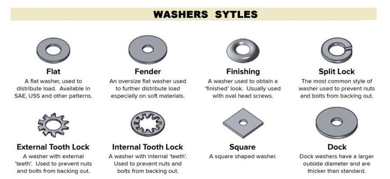 SUS316 Spring Washer DIN127b Building Hardware&Fasteners
