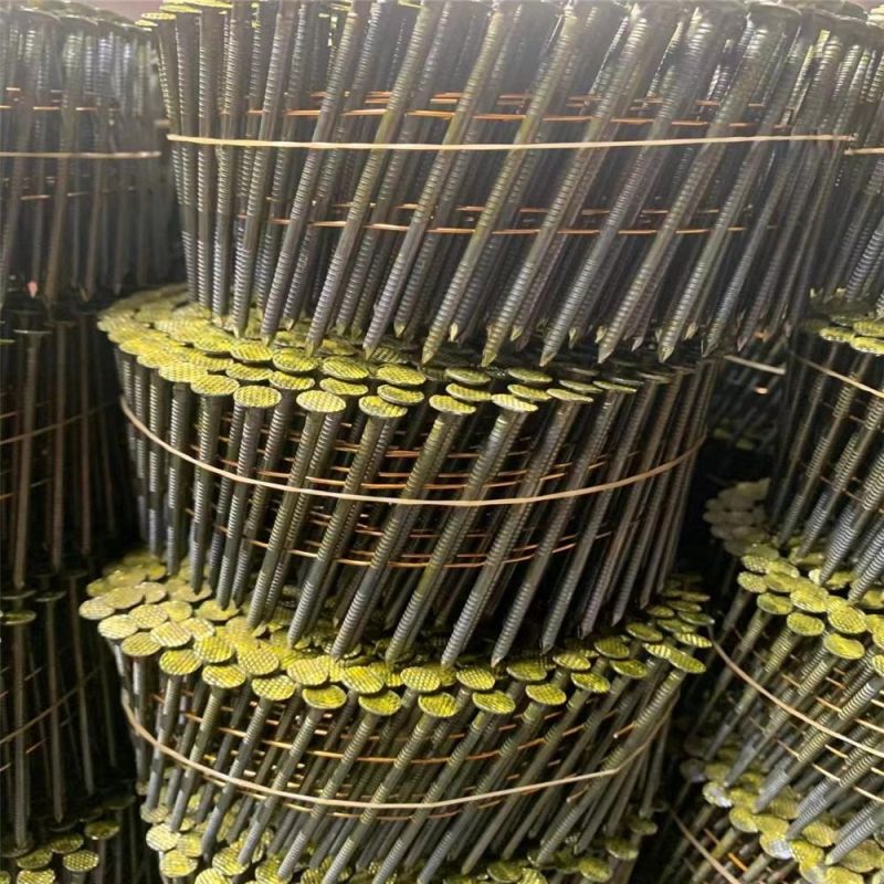 North and South America Thread Ring Grain Rod Tray Nail Cap Galvanized Coil Nail