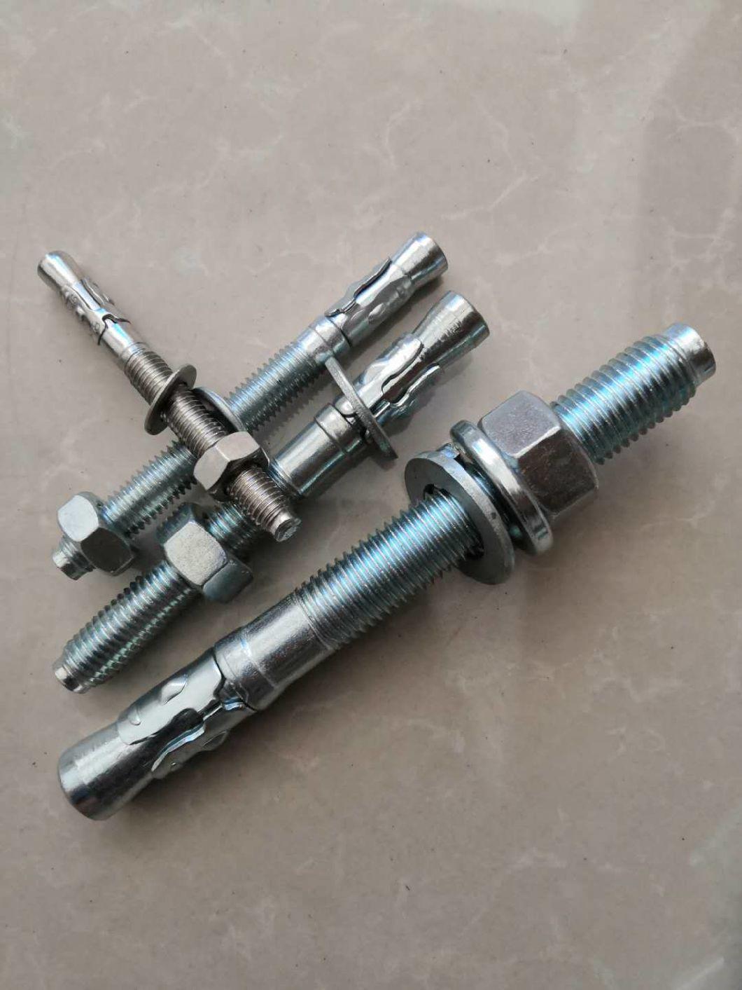 Stainless Steel/Carbon Steel Anchor Bolr/Expantion Bolt