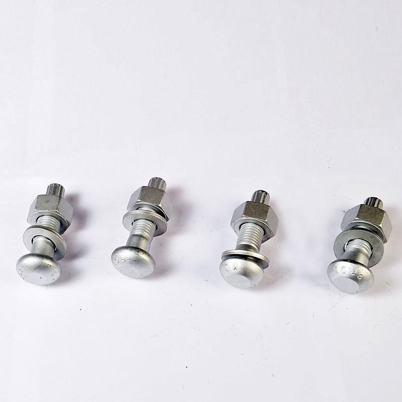 Professional Gi Fastener Manufacturer Tensile Control Bolt Different Types Nuts Bolts with High Strength Made in China