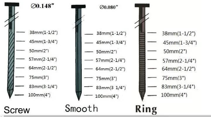 High Quality Color Painted or Galv Coil Nail