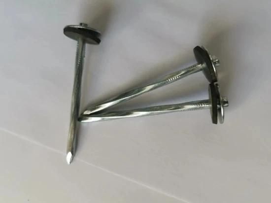 China Hardware Fastener Good Price Umbrella Price Umbrella Roofing Nails Umbrella Head Galvanized 1-3 Inch Corrugated Roofing Nail