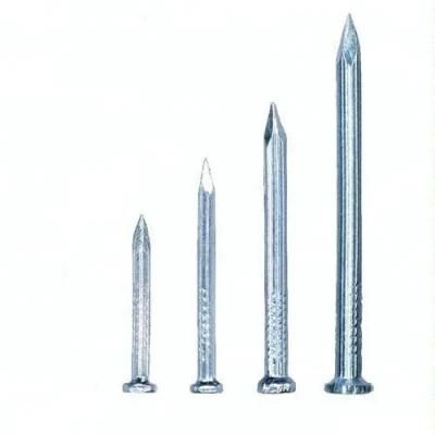 China Factory Professional Standard Galvanized/Polished Concrete Nail