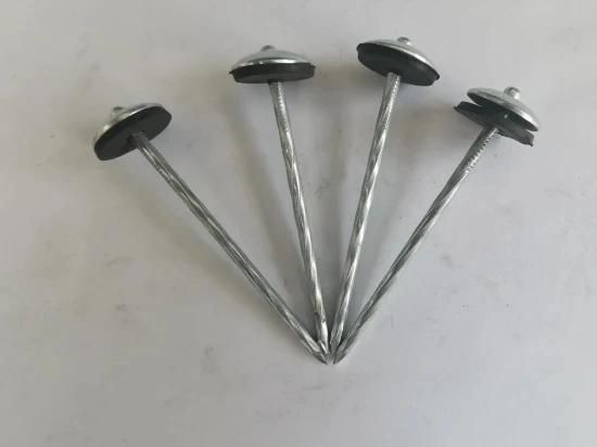 China Galvanized Umbrella Head Roofing Nails