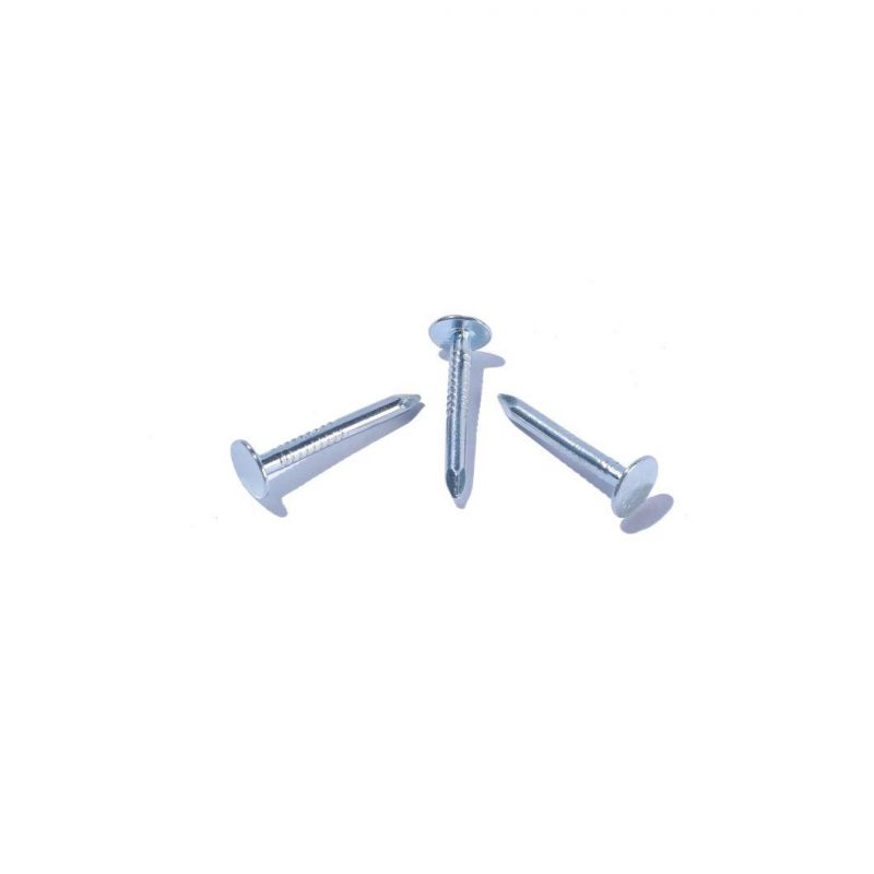 Low Price Professional Made Ceiling Nail Clout Tex Nails Clout Head Nail