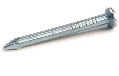 Metal /Iron /Galvanized Concrete Nail