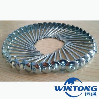 Straight Pole Roofing Nail, Corrosion Resistant Roofing Nails, Roofing Nails