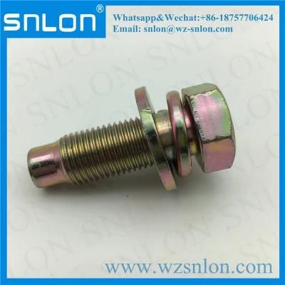 High Quality Cap Screw with Dog Point and Washer