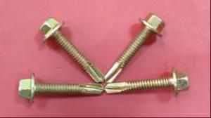 Hex Head Screw