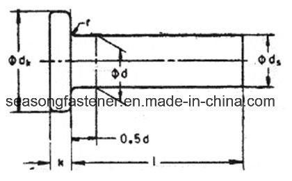 Flat Head Rivet