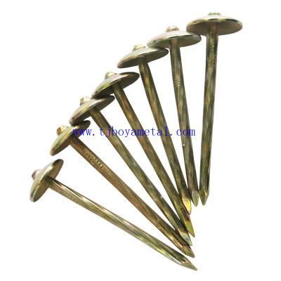 Umbrella Head Roofing Nails Umbrella Head etc Galvanized Umbrella Head Roofing Nails with Washer Twisted Corrugated Roofing Nail Bwg9X2.5&prime;&prime;