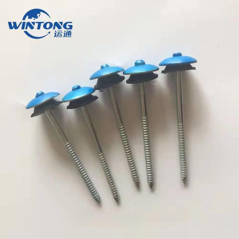 Hemp Pole Corrugated Nail, Galvanized Roofing Nail Production, Corrugated Nail for Umbrella Tip