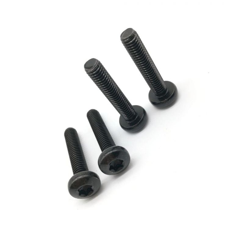 Black Hex Socket Cheese Head/Round Head /Pan Head Machine Bolt