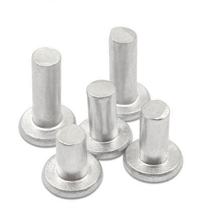 Custom Flat Head Aluminium Solid Rivet