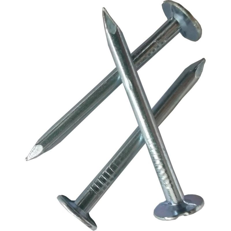 Electro Galvanized Clout Nail with Cheap Price