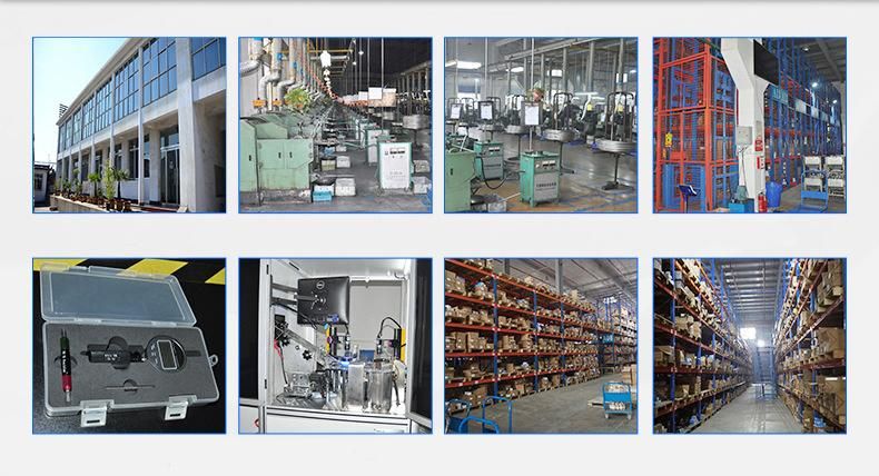 Electro Galvanized Hot DIP Galvanized Black Bolts and Nuts Carbon Steel and Stainless Steel Material Grade 8.8 Fastener