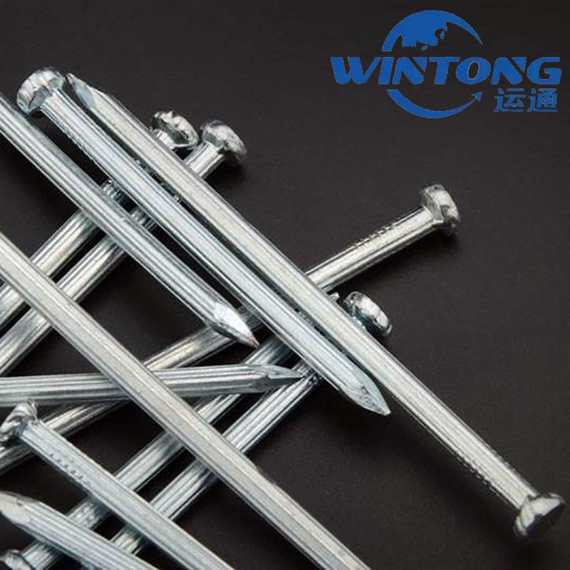 Hardware/Steel Nail/Concrete Nail